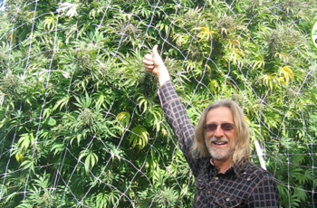 Cultivo Outdoor