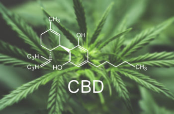 #Growgirl – História da Cannabis Medicinal Contra o Alcoolismo