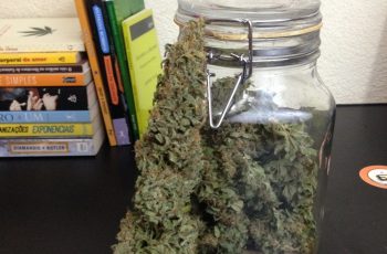 CULTIVO INDOOR DE AUTOMÁTICAS / AUTOFLORESCENTES