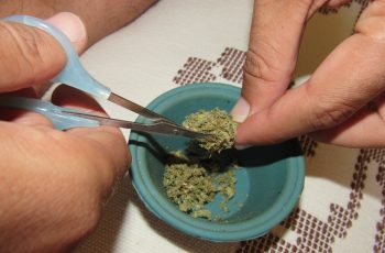 Bolando uma FLOR com ICE