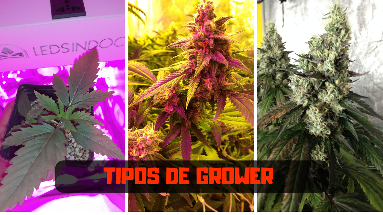 TIPOS DE GROWER