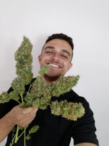Curso de Cultivo Indoor