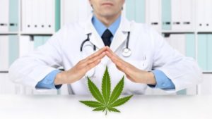 maconha cannabis medicinal