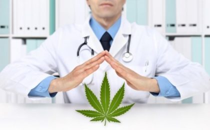 maconha cannabis medicinal