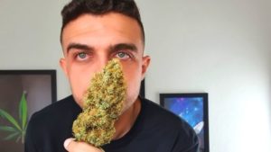 Cannabis sativa indica ruderalis