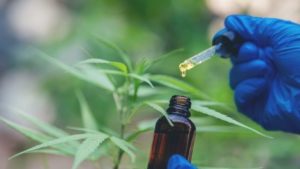 para que serve o canabidiol cbd