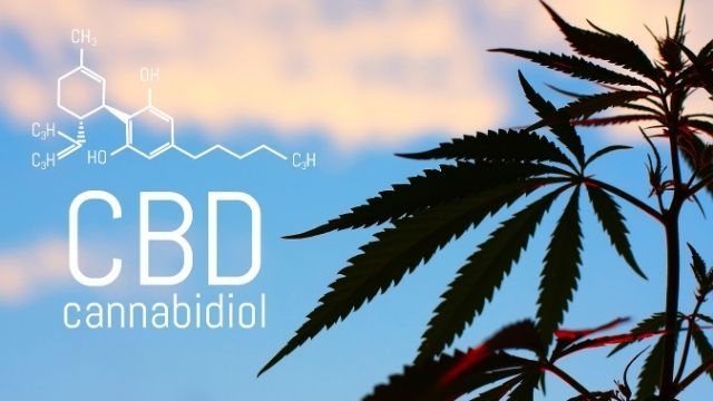 o que é CBD