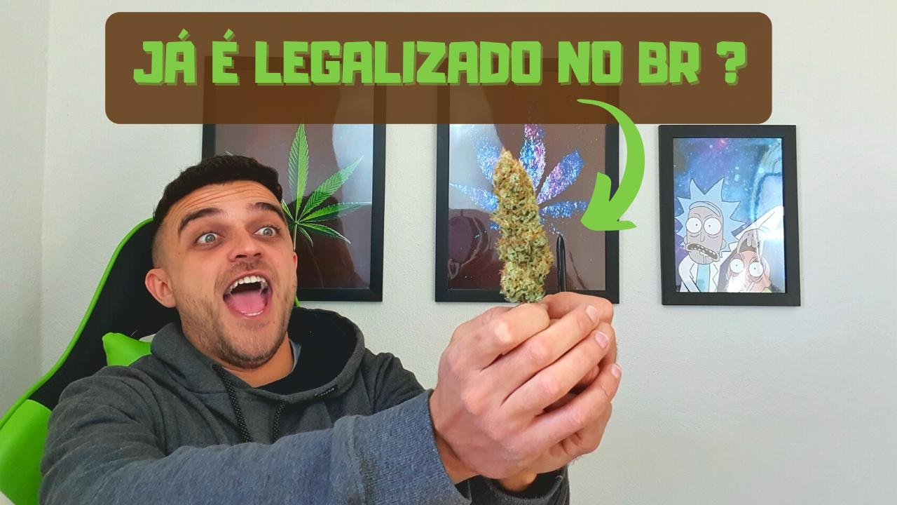 Como é trabalhar com cannabis legal