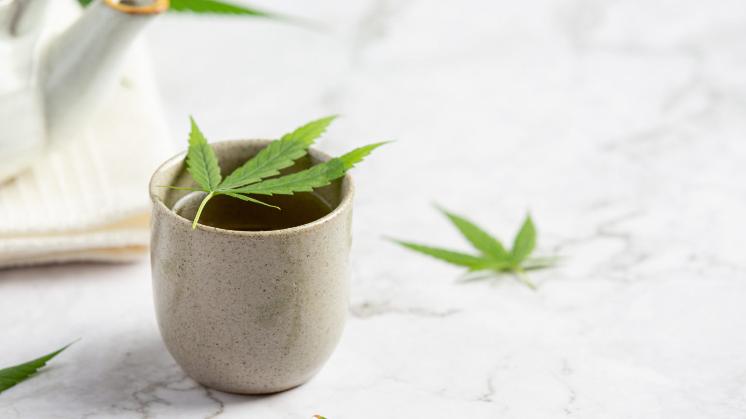 Chá de maconha: como é feito e os benefícios - Plantando Bem